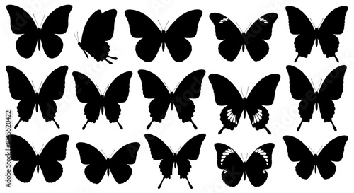 Butterfly Silhouettes Collection: Various Poses and Wing Shapes