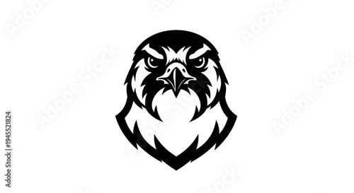 Graphic illustration of a fierce bird of prey