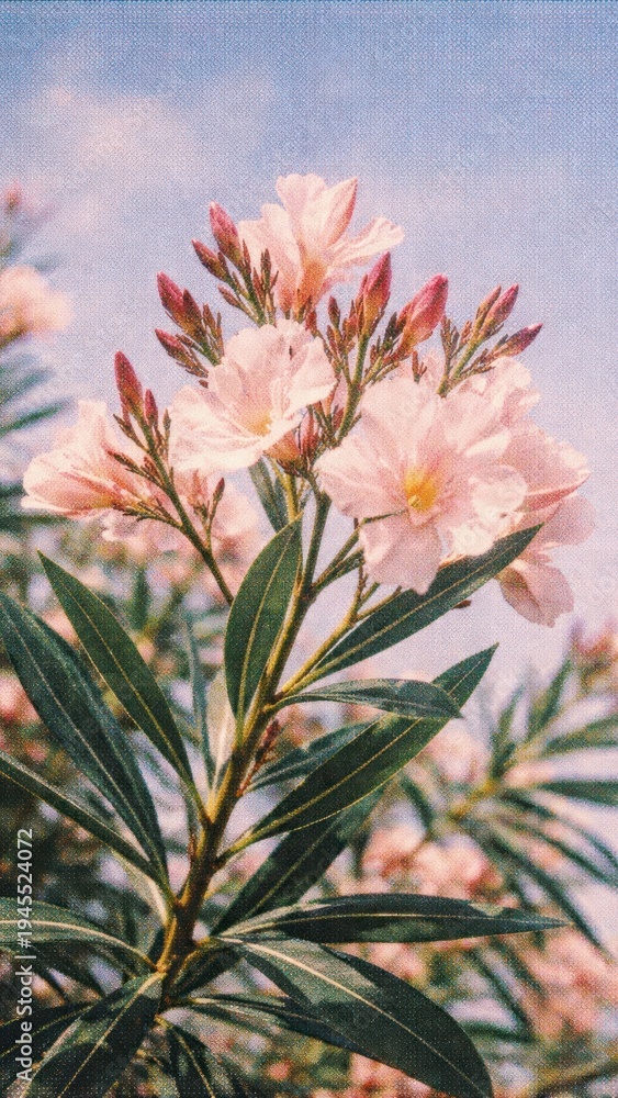 Fototapeta premium Vibrant floral elegance captured beautifully mobile wallpaper