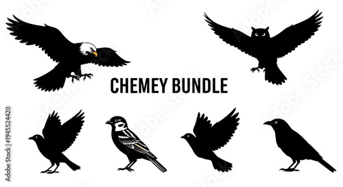 Diverse Bird Silhouettes Collection: Eagle, Owl, Sparrows, Crows, Flying & Perched
