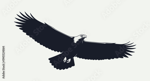 Majestic Eagle Soaring with Open Wings Against White Background.