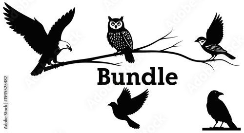 Bird Silhouette Collection: Eagle, Owl, Raven, Sparrow on Branch