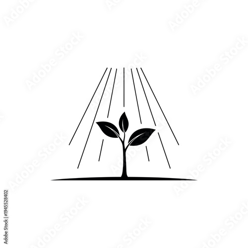 Plant growth under light rays simple black and white illustration.