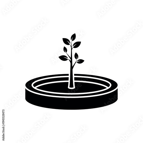 Foto Small plant growing in a circular pot.
