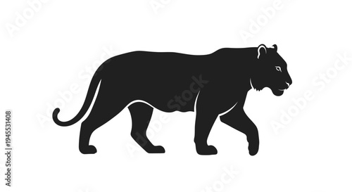Black Panther Silhouette Walking Isolated on White Background, Majestic Big Cat