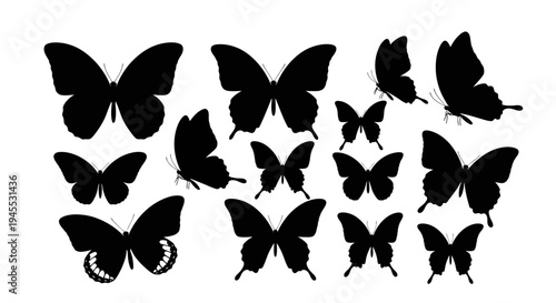 Collection of Black Butterfly Silhouettes Isolated on White Background