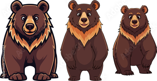 Set of 3 Cute Brown Bear Vector Illustrations with Dark Fur and Light Brown Chests, Standing Front-Facing for Wildlife, Nature, or Children's Designs