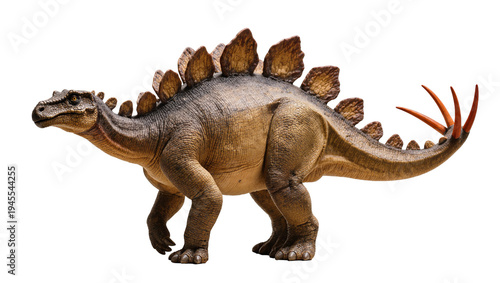 Obraz na płótnie Isolated powerful Stegosaurus dinosaur with distinctive plates and tail spikes,