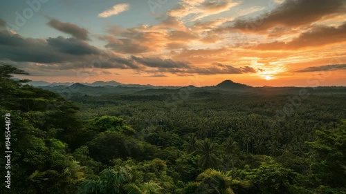 Breathtaking view of a vibrant sunset casting golden light over a dense rainforest. Mountain silhouettes create a dramatic backdrop in this serene natural setting.