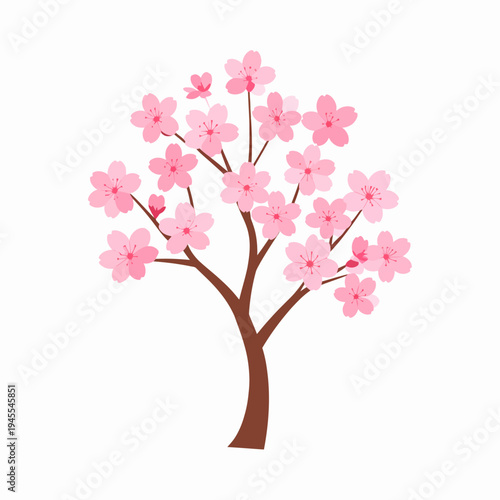 Delicate Pink Blossom Tree Illustration Captured from a Front View, Showcasing Branching Structure and Vibrant Flowers in a Minimalist White Background