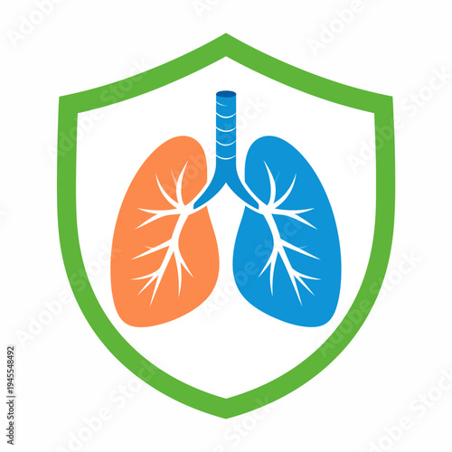 Illustrated view of protective lungs inside a green shield, highlighting orange left lung and blue right lung with striped trachea, presented as a clean medical graphic from a frontal perspective