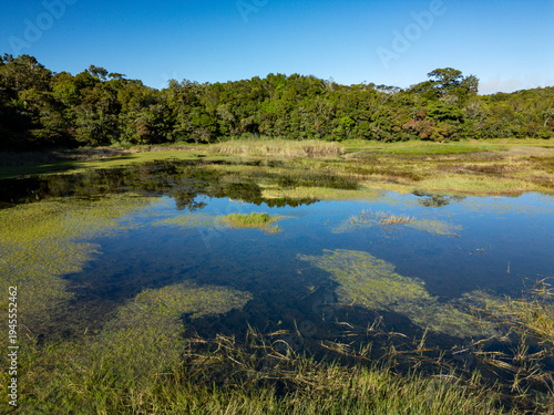 Verdant landscape of a tropical freshwater lagoon and surrounding lush forest creating a serene wetland ecosystem under a clear blue sky, showing biodiversity and pristine nature, Volcan, Panama.