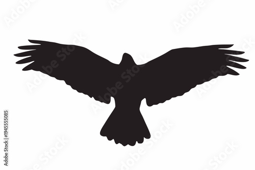 Eagle in flight silhouette, wings spread wide, freedom, power, a stark black silhouette of an eagle in mid-flight, with its wings fully spread, symbolizes freedom, power, nature, and predatory prowess