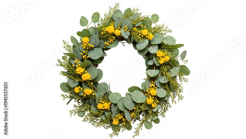 Isolated vibrant eucalyptus leaves and delicate yellow flowers forming a natural spring wreath