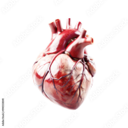 Human anatomical heart with halftone dot texture isolated on white background. Medical organ illustration with modern pop art style, symbol of cardiology, healthcare, life and anatomy.
