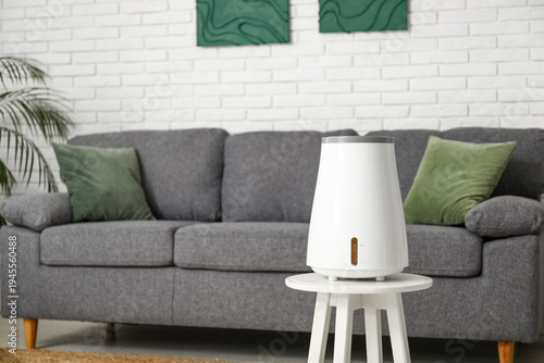 Black sofa and modern humid...
