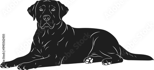 Labrador retriever dog silhouette lying down, domestic pet animal illustration, black canine vector isolated on white background design
