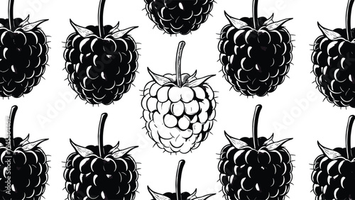 Elegant hand drawn seamless pattern featuring black and white blackberry fruit sketches with a single white raspberry standout on a clean white background.