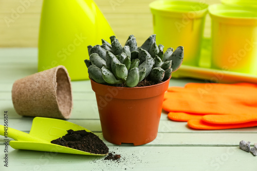 Plant and gardening supplie...