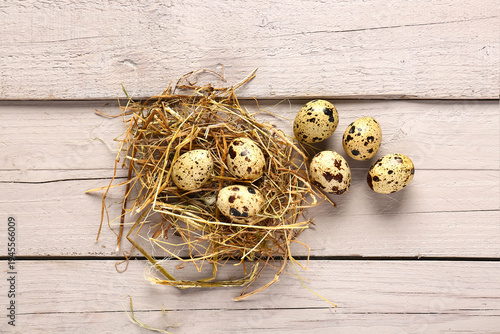 Nest with fresh quail eggs on grey wooden background
