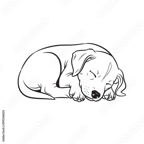 puppy dog vector illustration