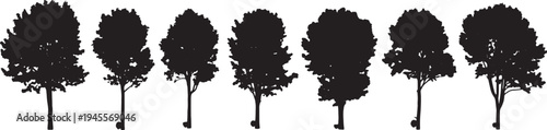 Black Solid Plantation Rubber Tree Silhouettes Set of Six on White Background