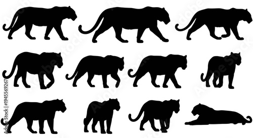 Collection of Diverse Feline Vector Silhouettes for Wildlife-Inspired Graphic Design and Artistic Animal Illustrations