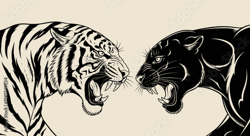 Dynamic vector illustration showcasing a fierce confrontation between a roaring tiger and a growling black panther, embodying their raw power and untamed spirit