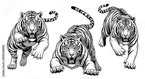 Dynamic vector illustrations of powerful tigers in various pouncing and running poses, rendered in striking black and white art for captivating design projects