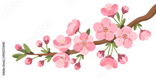 Pink cherry blossoms on a brown tree branch with green leaves isolated on white background