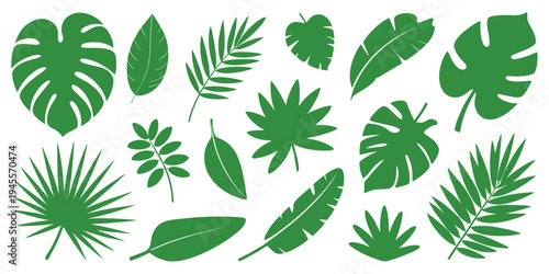 Collection of various green tropical leaves on white background