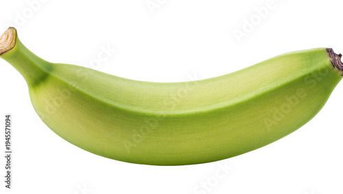 Isolated single fresh unripe green banana tropical fruit for healthy eating and cooking