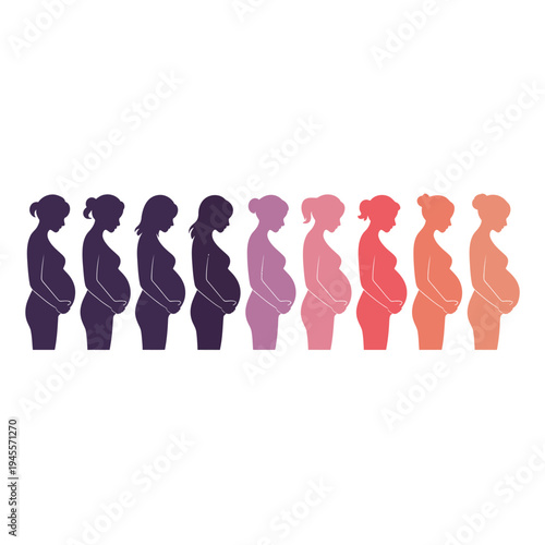 A pregnant woman's body changes throughout her pregnancy journey