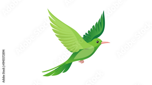 Beautiful Green Hummingbird Flying with Outspread Wings Isolated on White