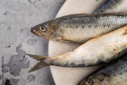 Fresh Raw Sardines on Ceramic Plate, Close Up Seafood Ingredient