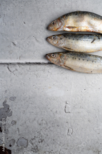 Three Fresh Raw Sardines on Light rustic Background, Minimal Seafood Composition