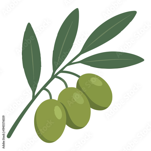 Green Olive Branch with Olives Vector