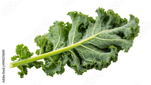 Foto Isolated fresh vibrant green organic curly kale leaf with natural texture, healt