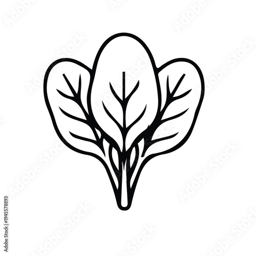 vector illustration of a tree