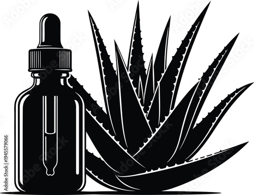 Aloe vera plant with a dropper bottle for natural skincare and health products