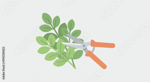 Garden pruners trimming a leafy branch representing plant care pruning and landscaping work simple