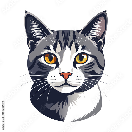 black cat on white background with black skin