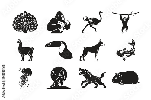 Collection of black silhouette animal illustrations on a white background