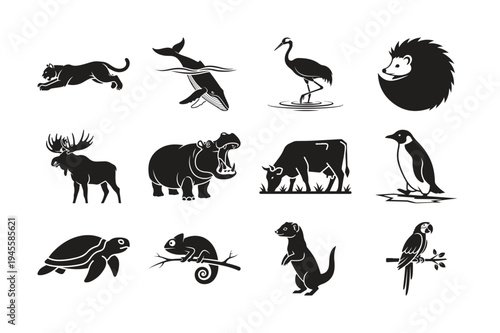 Collection of diverse animal silhouettes in a black and white design