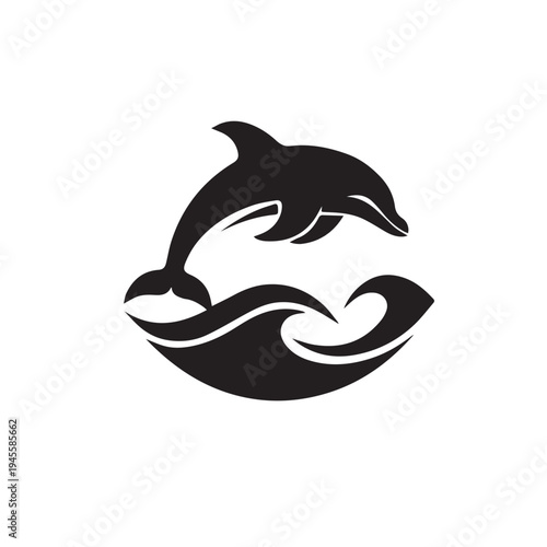 Shark and dolphin vector illustration marine animal ocean life design