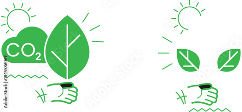 Human impact on carbon dioxide absorption and photosynthesis through plant growth