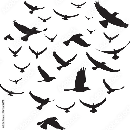 A flock of birds in flight forming a heart shape silhouette