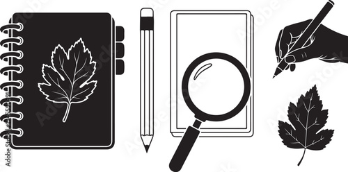 Black and white illustration of botanical study tools and leaves