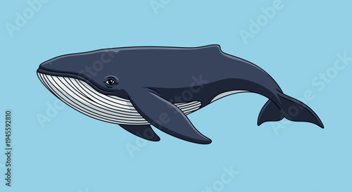 An illustration of a whale swimming in the ocean water