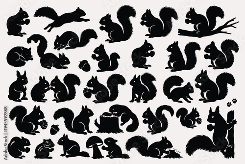 Squirrel Silhouette Set, Large Collection of Squirrel Animal Vector Silhouettes, Wildlife Rodent Icons Isolated on White Background